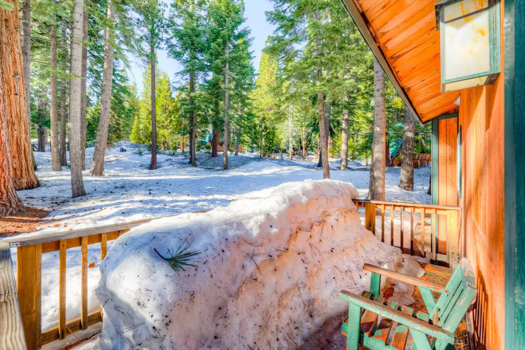 Peaceful Forest Retreat