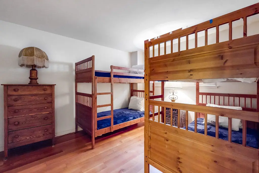 Tahoe Safari