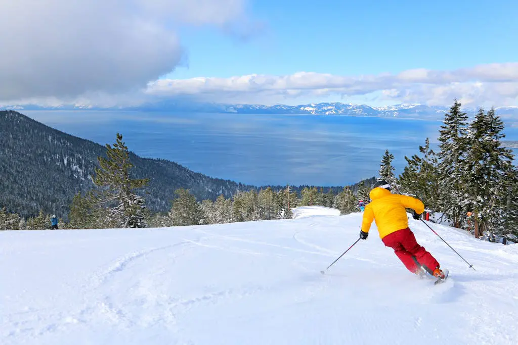 Tahoe Safari