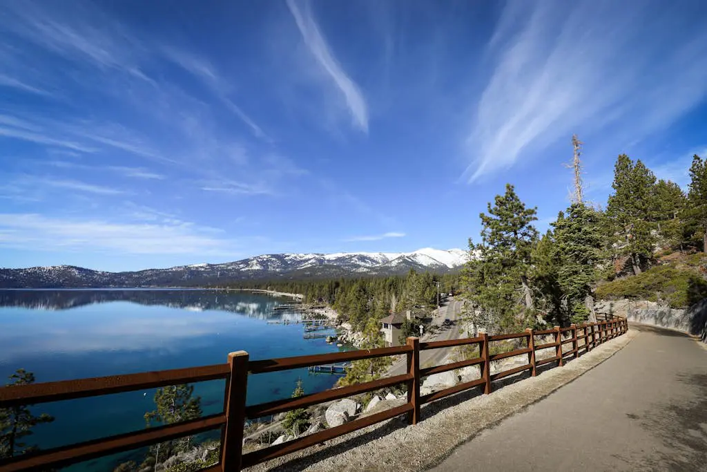 Tahoe Safari