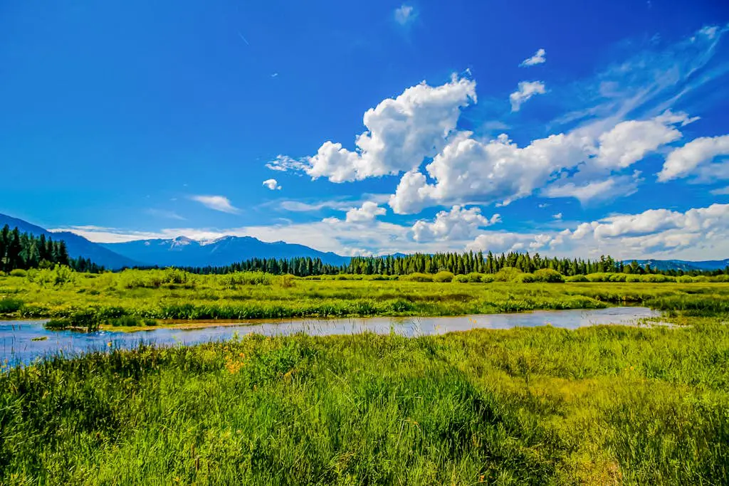 Hounds of Aspen