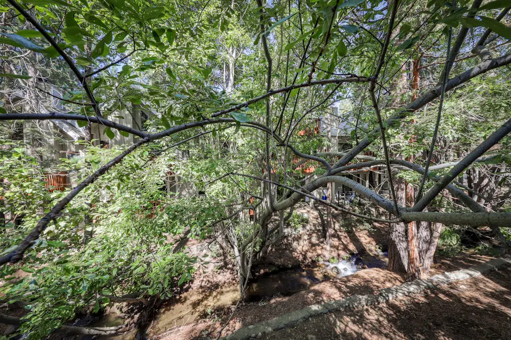 Creekside Retreat