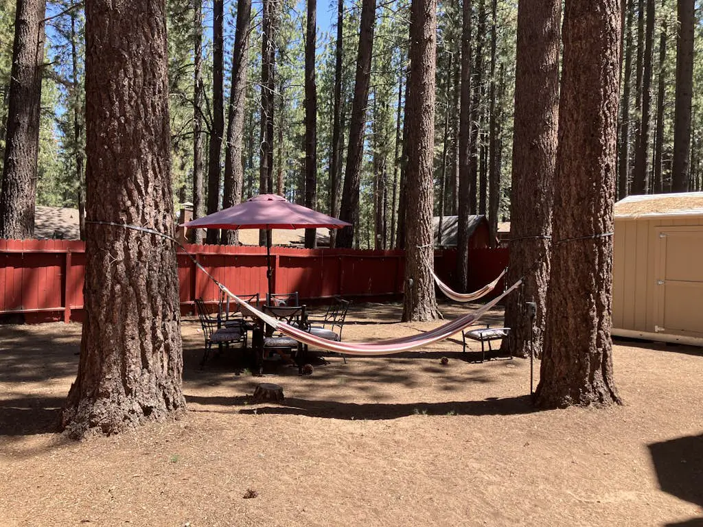 All-season, dog-friendly cabin with fireplace & deck - near Heavenly & beach