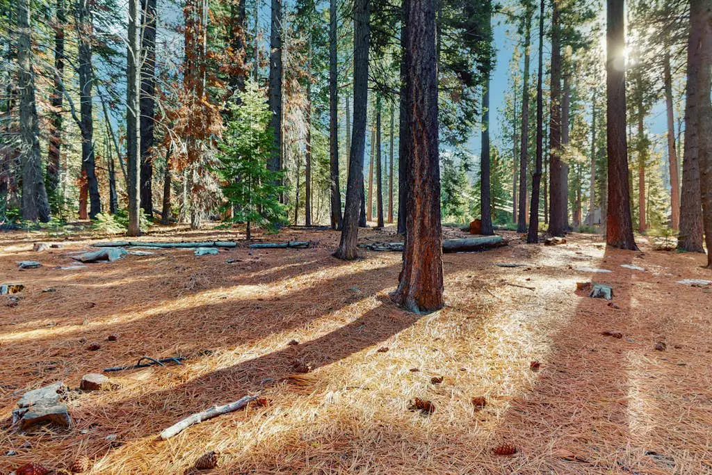 Sierra Nevada Serenity