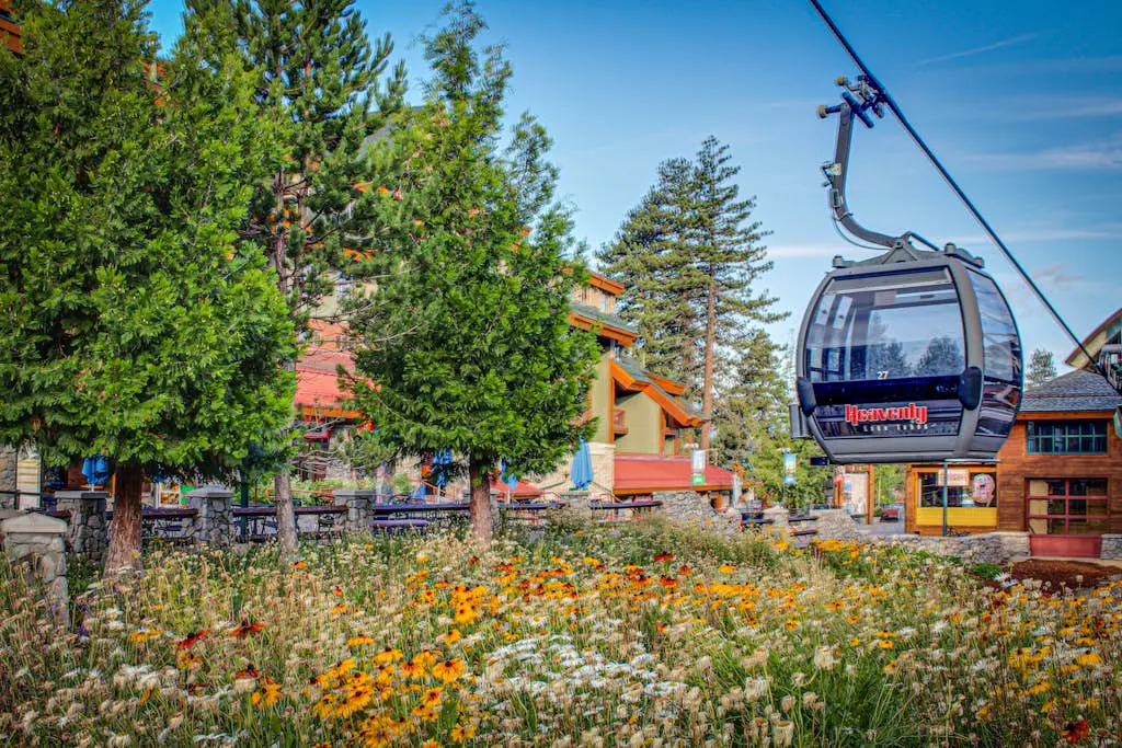 Lakeland Village Lodge Living #213