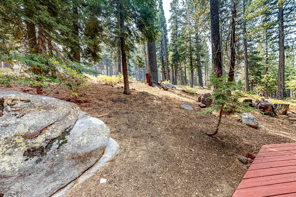 Sierra Dream