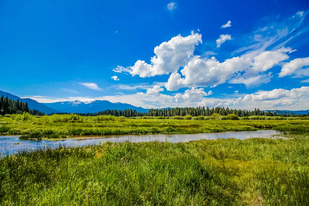 Sierra Dream