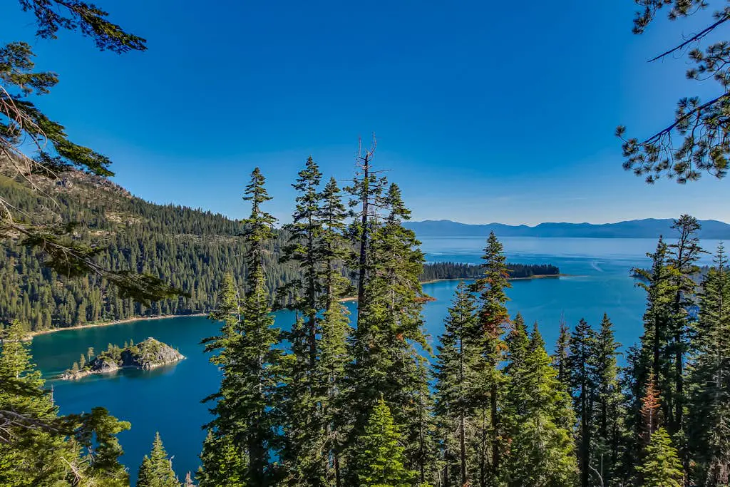 Sierra Dream