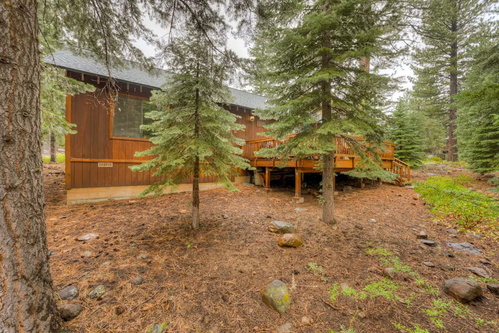 Grizzly Cabin