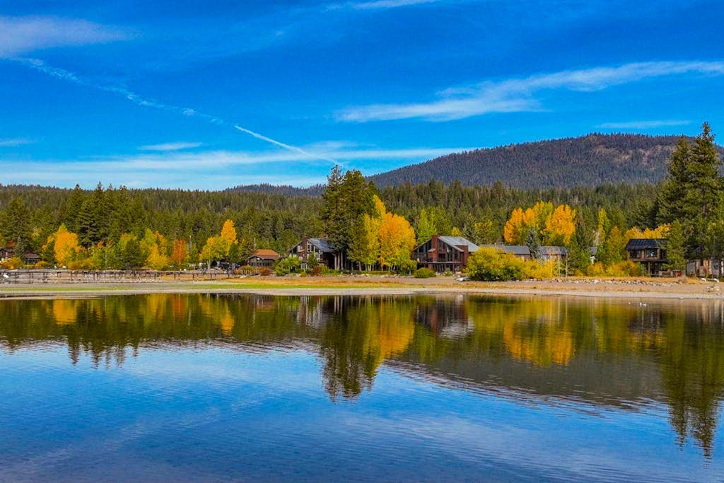 Lovely tree-view condo with deck, grill, & fireplace - near Tahoe City & lake