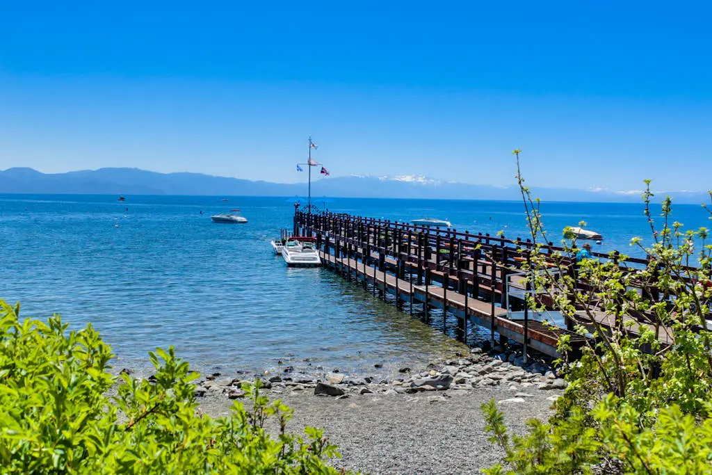 Lovely tree-view condo with deck, grill, & fireplace - near Tahoe City & lake