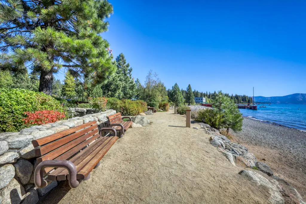 Lovely tree-view condo with deck, grill, & fireplace - near Tahoe City & lake