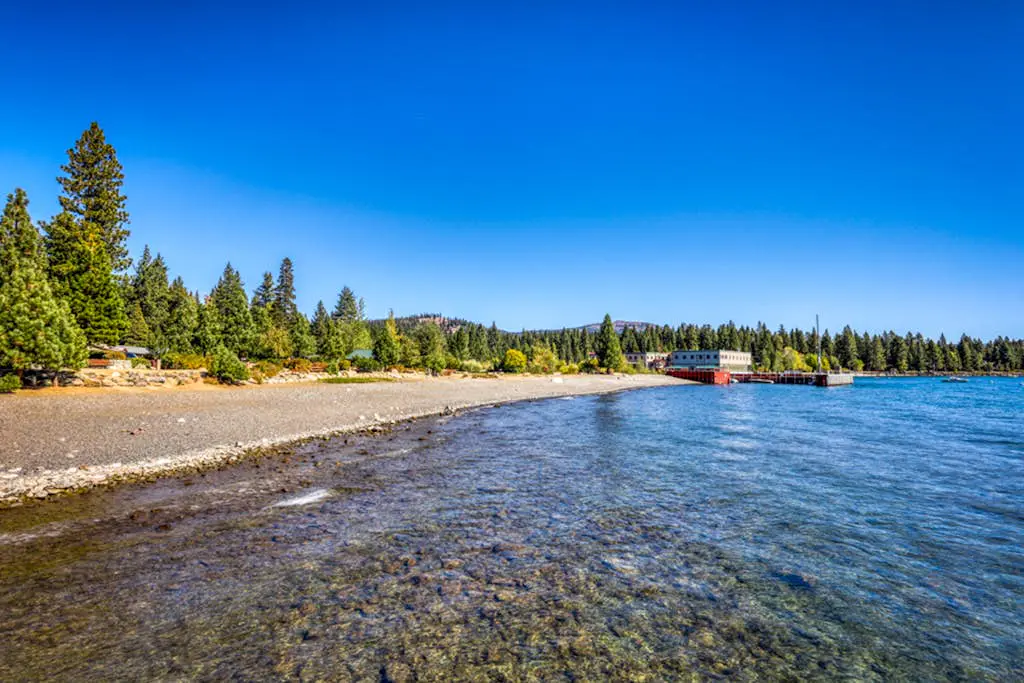 Lovely tree-view condo with deck, grill, & fireplace - near Tahoe City & lake
