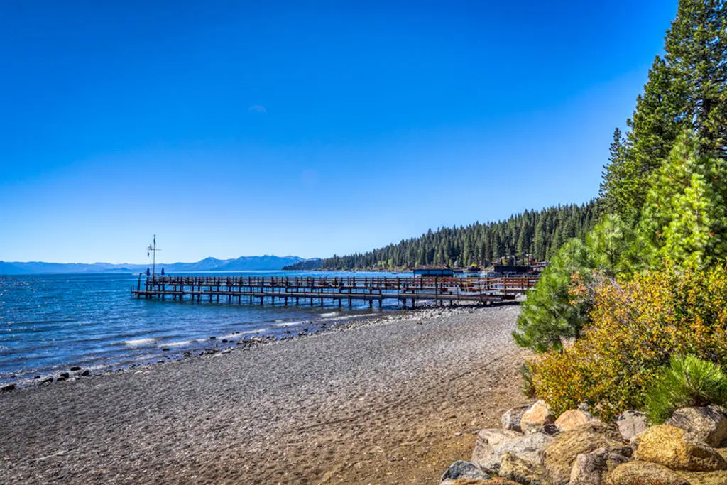 Lovely tree-view condo with deck, grill, & fireplace - near Tahoe City & lake