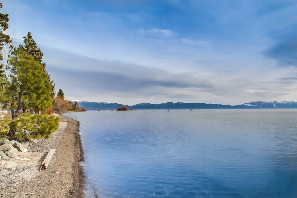 Lovely tree-view condo with deck, grill, & fireplace - near Tahoe City & lake
