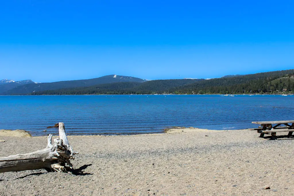 Lovely tree-view condo with deck, grill, & fireplace - near Tahoe City & lake