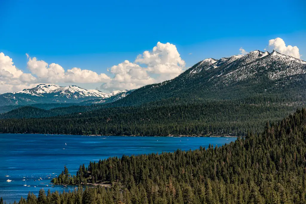 Lovely tree-view condo with deck, grill, & fireplace - near Tahoe City & lake