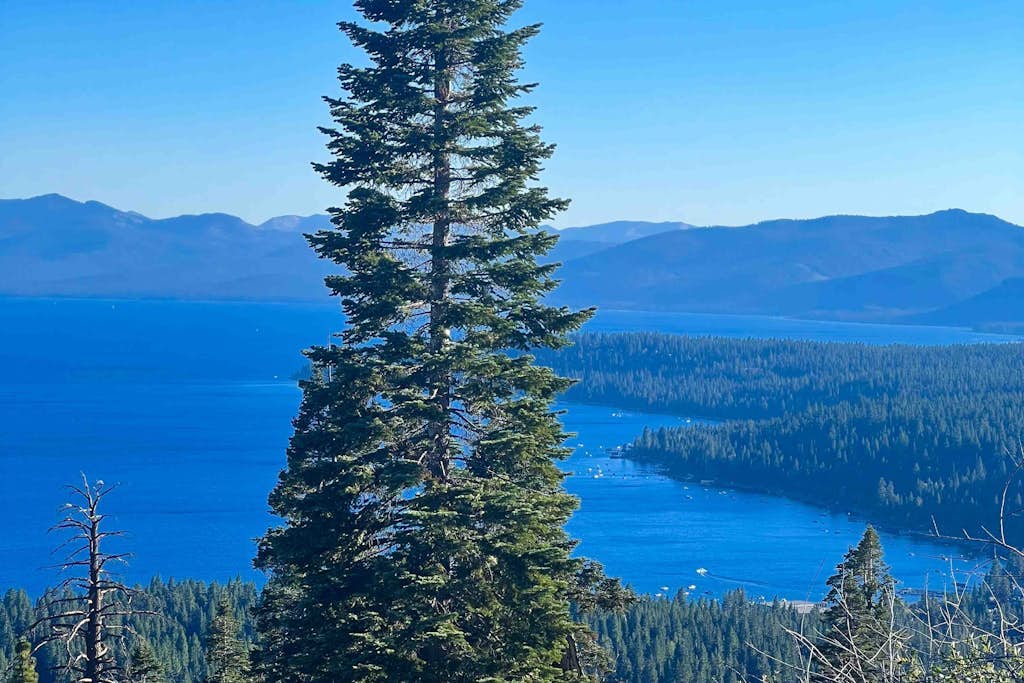 Cozy Tahoe Vista home with fireplace, furnished deck, & forest view