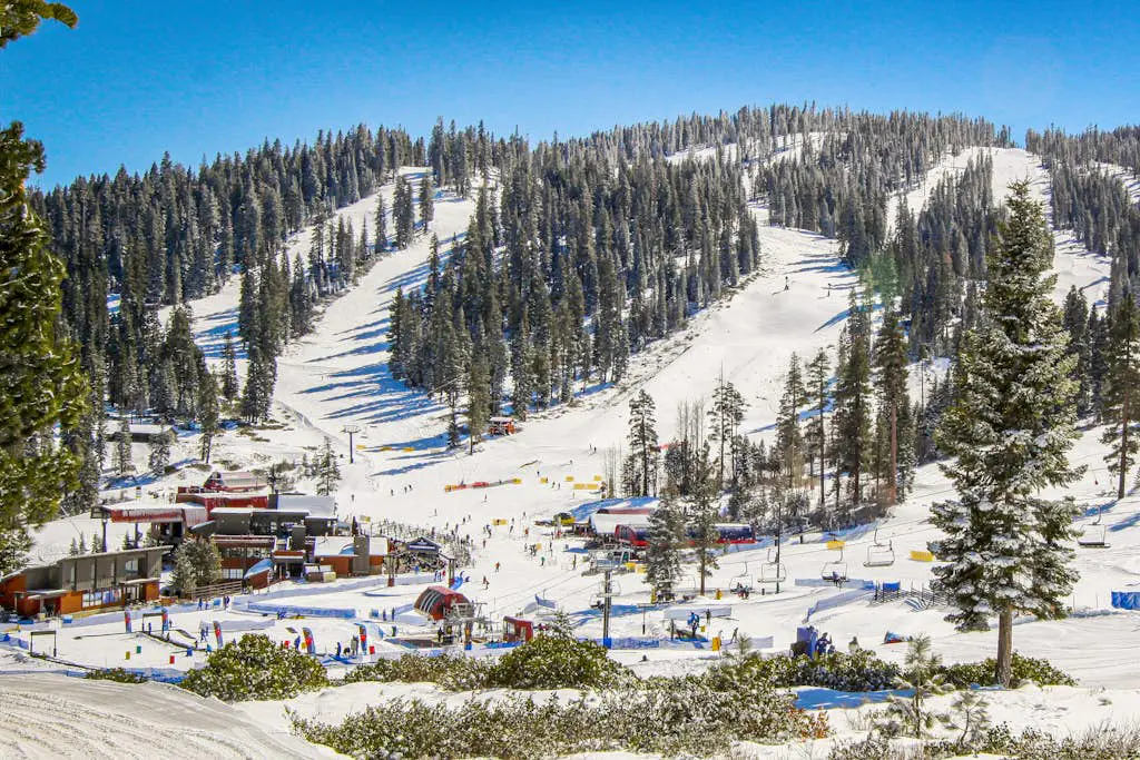 Northstar Paradise