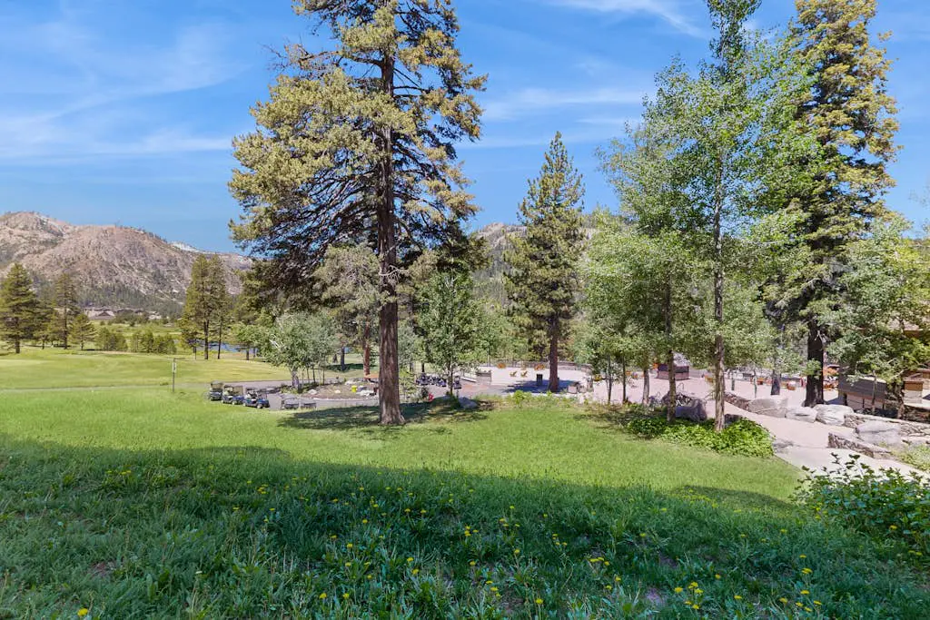 Everline Resort & Spa 126