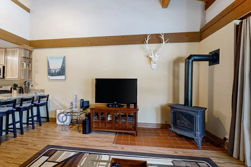 The Cozy Condo