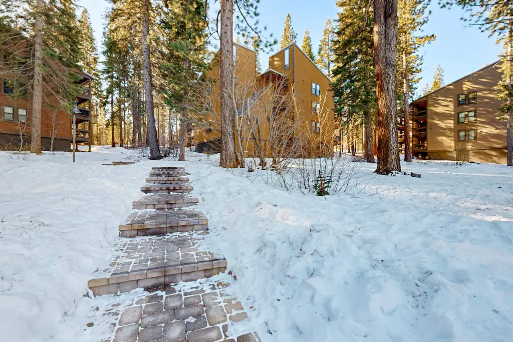 The Cozy Condo