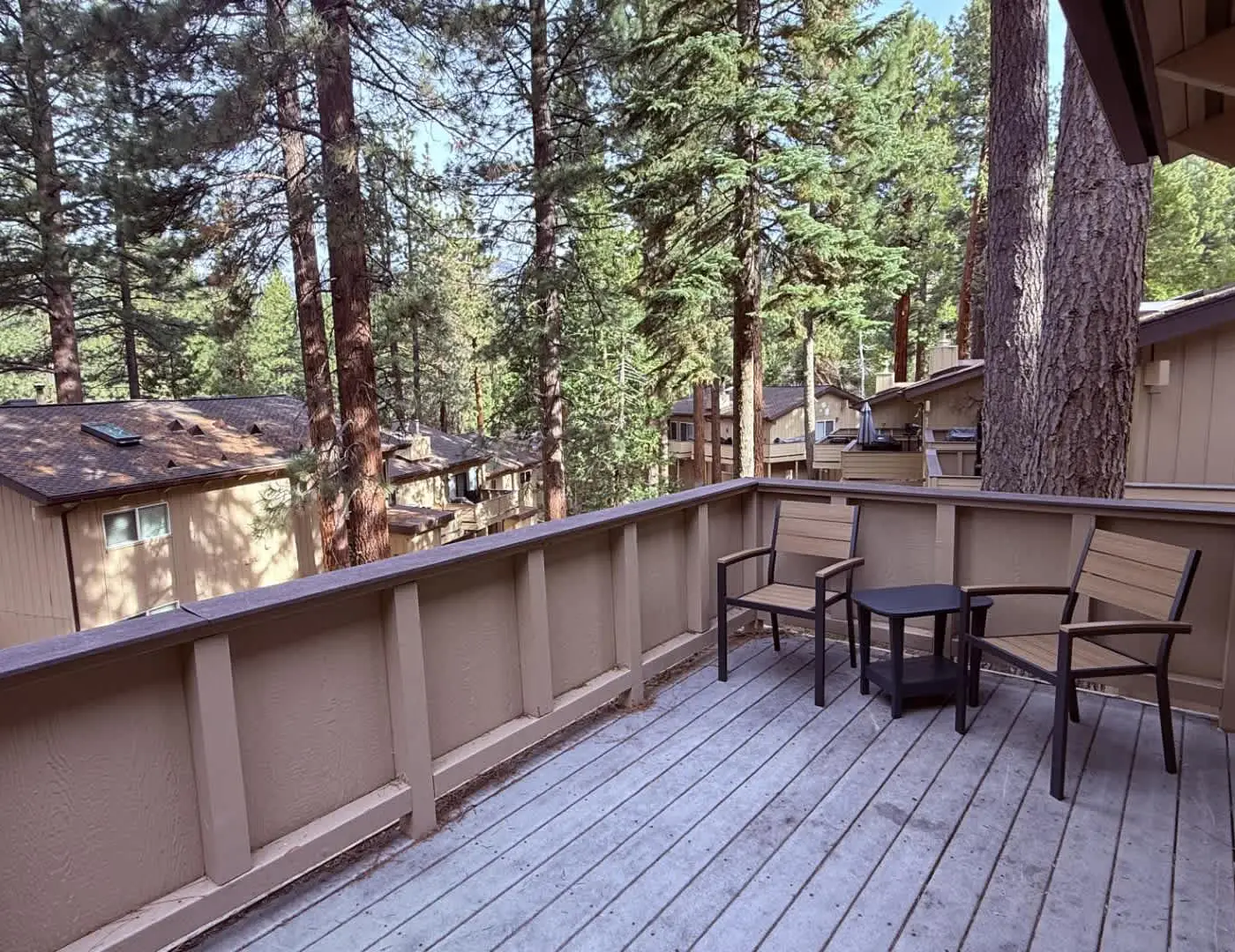 Modern Mountain Escape