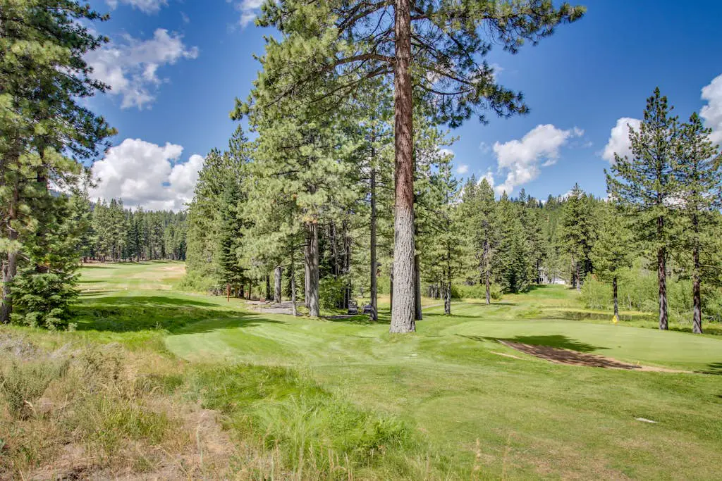 Northstar Original Village Studio One