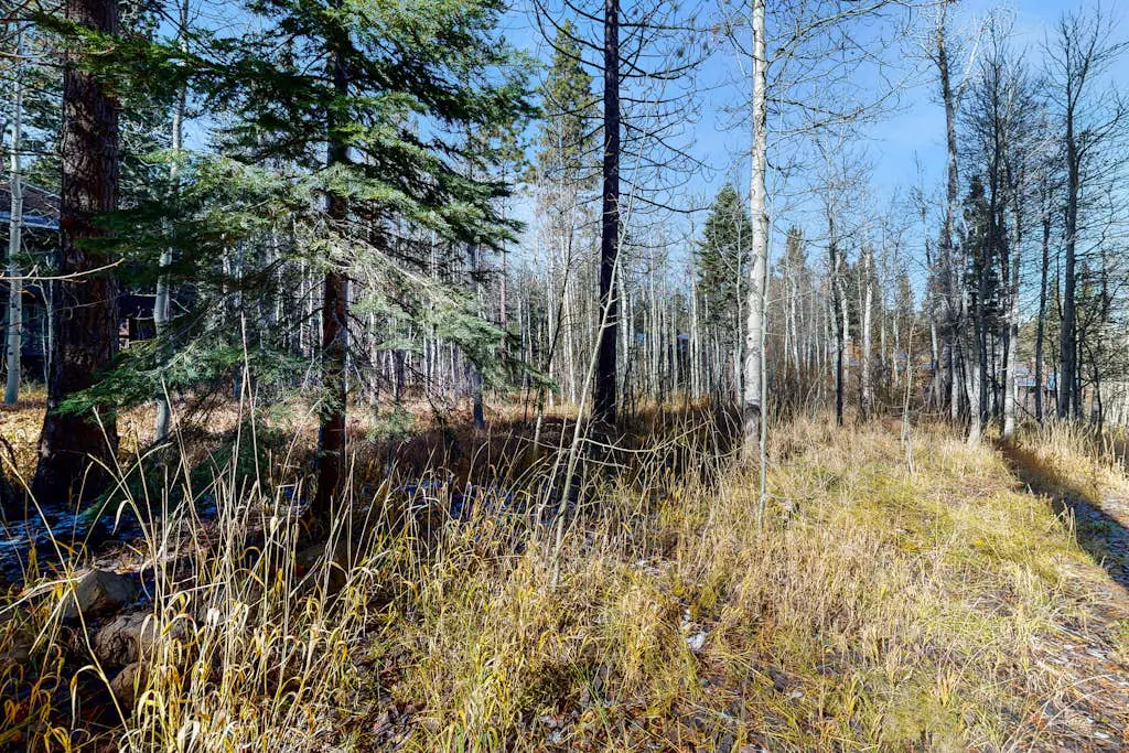 Cozy, updated condo with pool, hot tub, on-site golf, sauna & mountain views