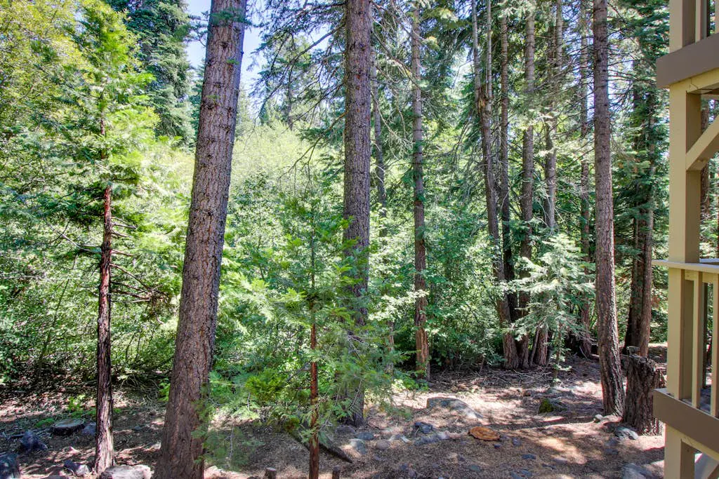 Mountain Home with Gas Fireplace, Fast WiFi, Balcony, Shared Pool, Tennis