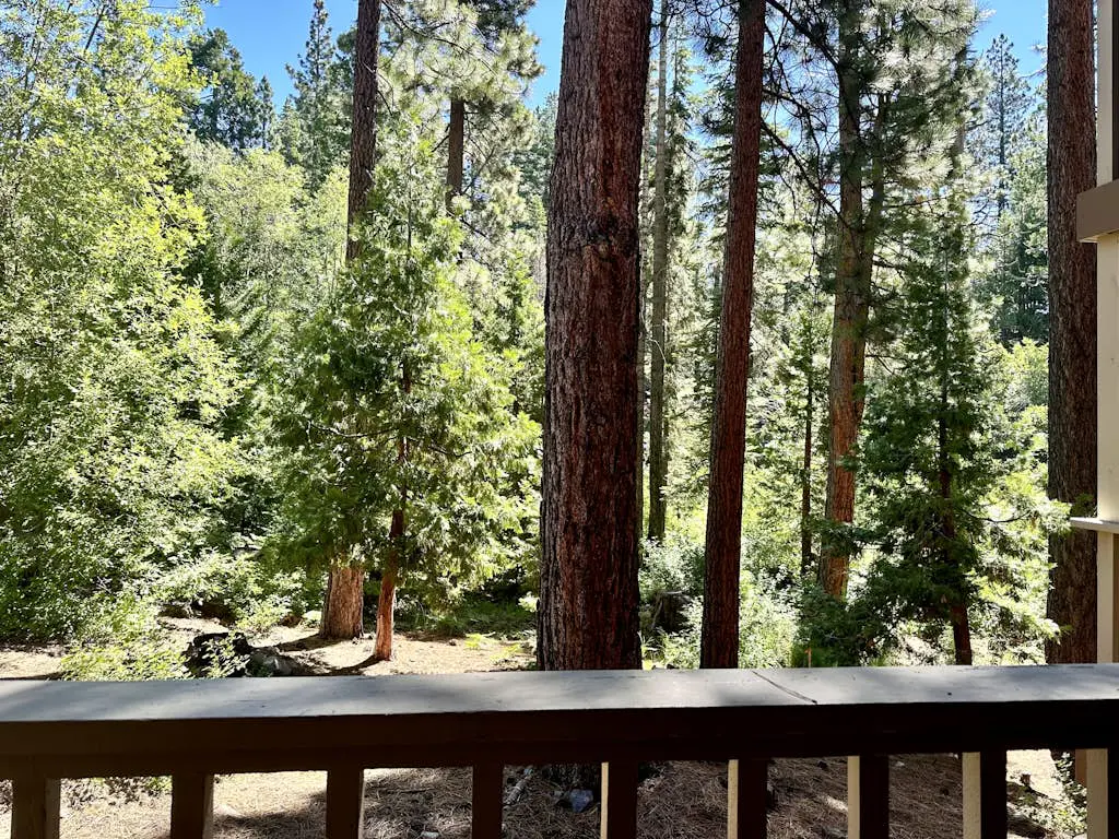 Creekside retreat with pool access, deck, fireplace, and high speed WiFi