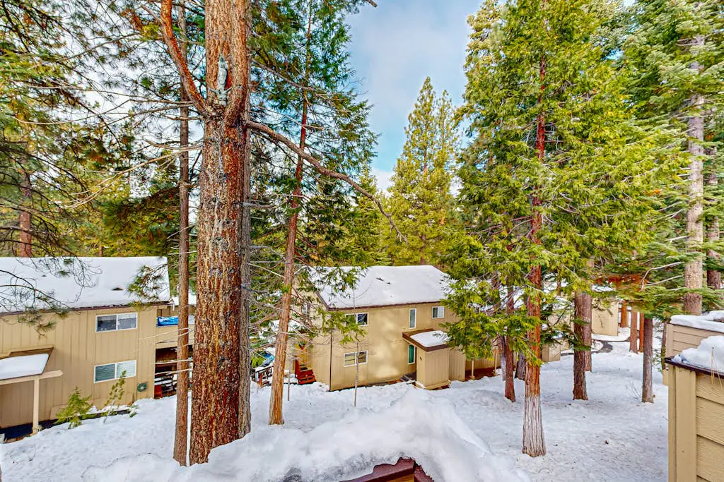The Pines Chalet