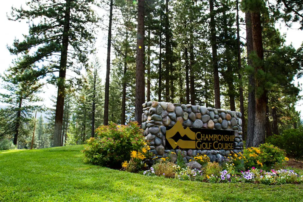 The Tahoe Nest