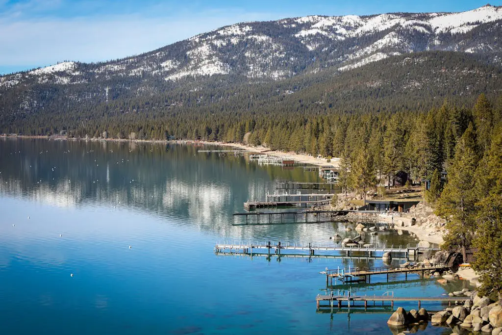 The Tahoe Nest