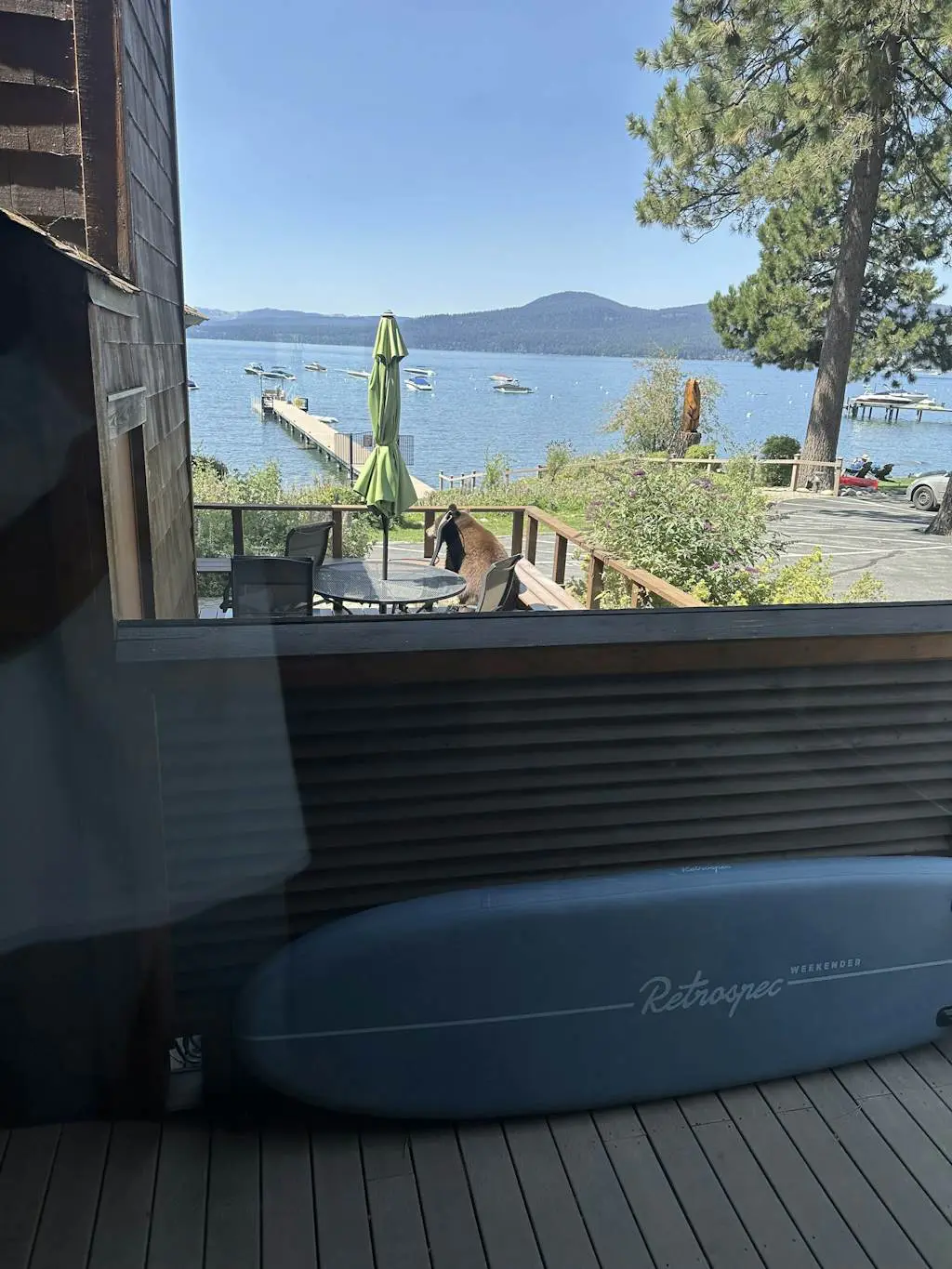 Lake Tahoe Oasis