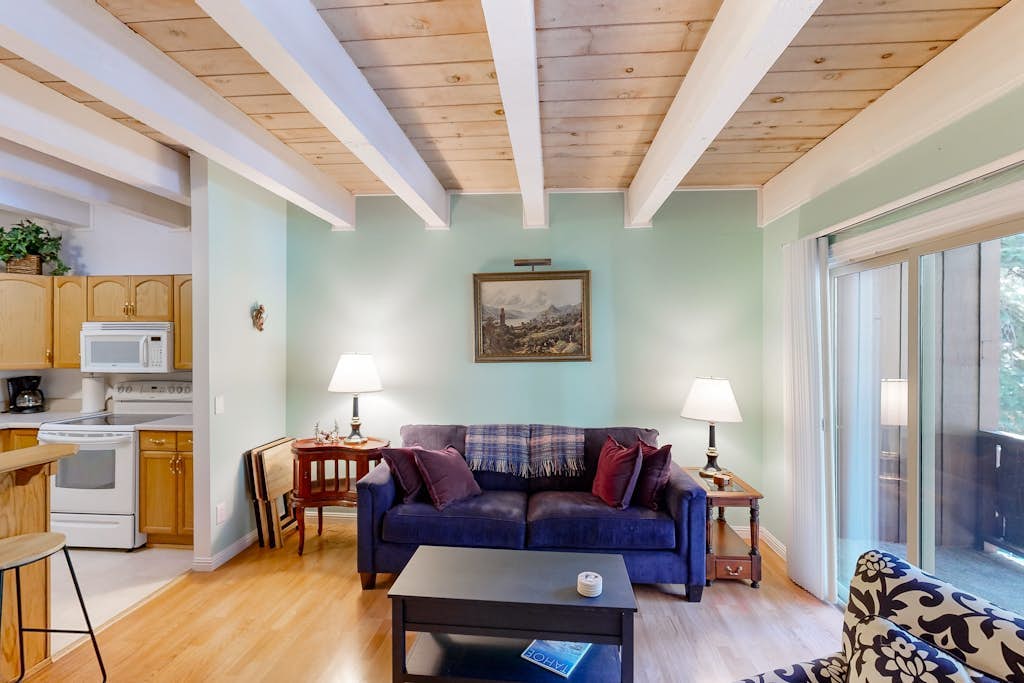 Forest-view condo with wood fireplace & walkable locale - dog-friendly