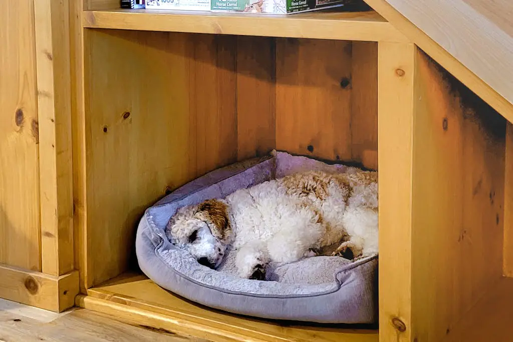 A Bear's Rest