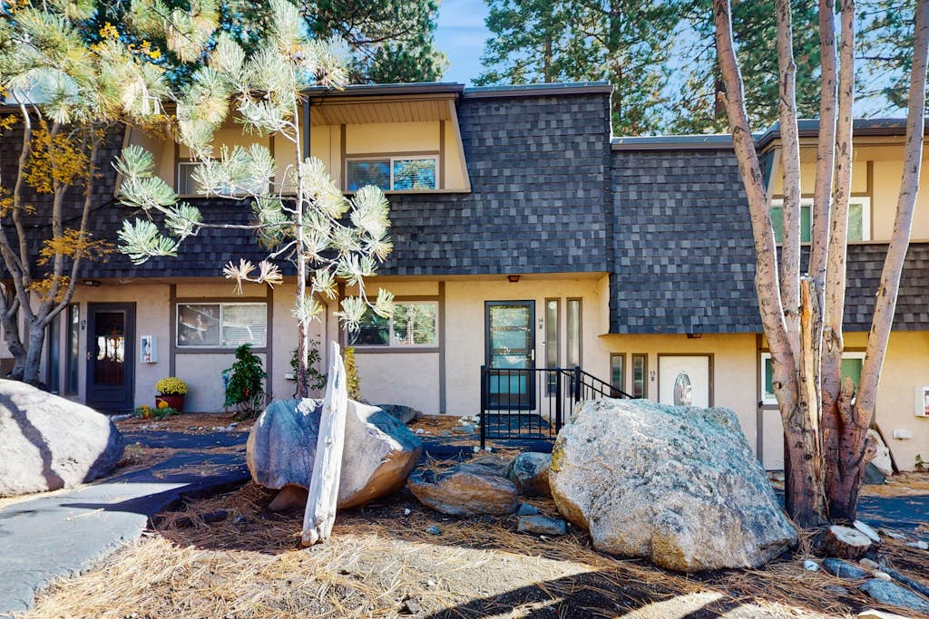 Peace Among the Pines