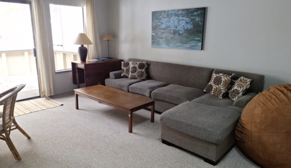 Dog-friendly condo with pool access, fireplace, private washer/dryer, & wet bar