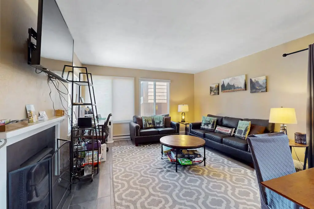 11529 Snowpeak Way #619