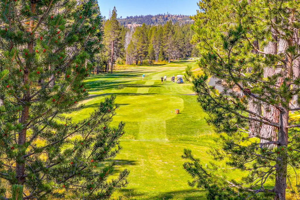 Little Pinecone Retreat