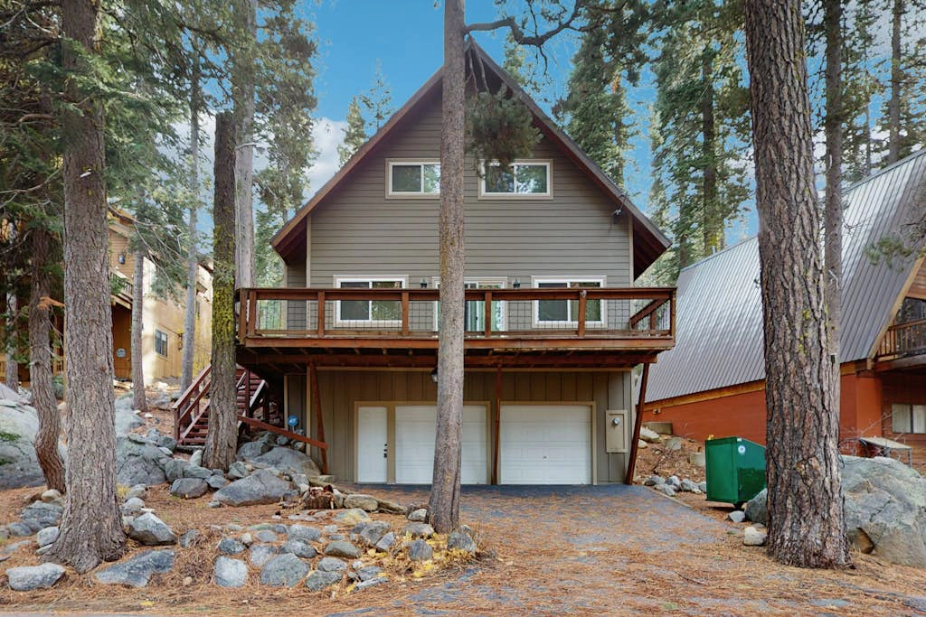 Conifer Donner
