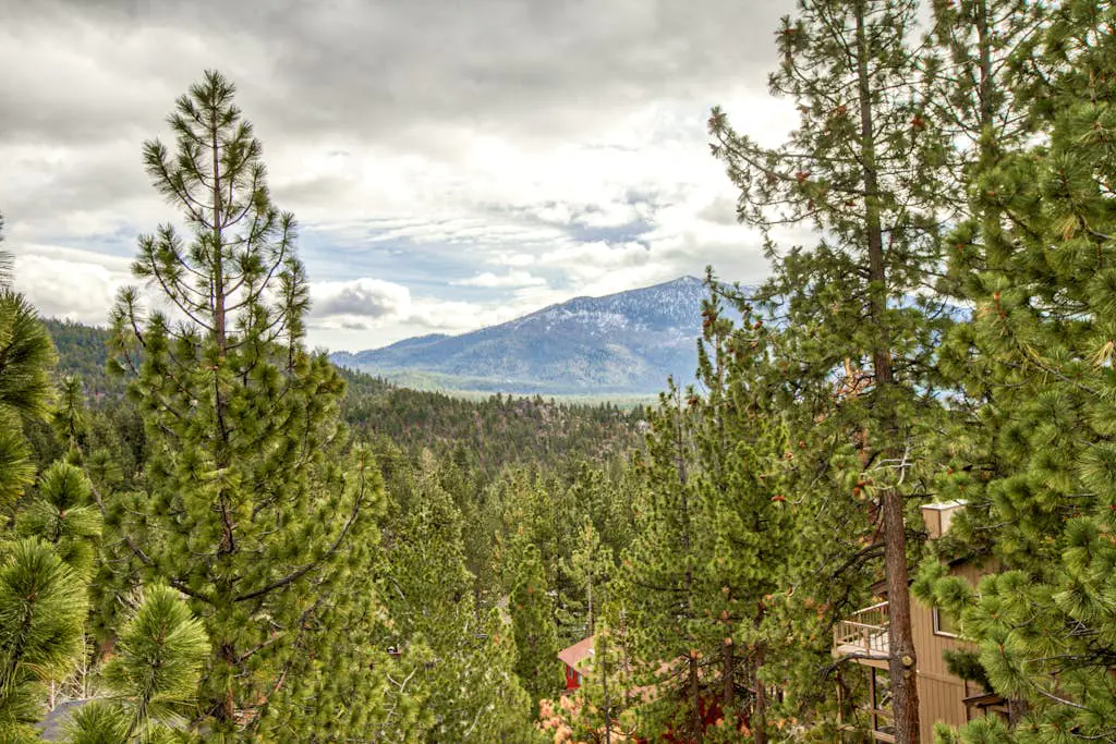 Lookout Lodge