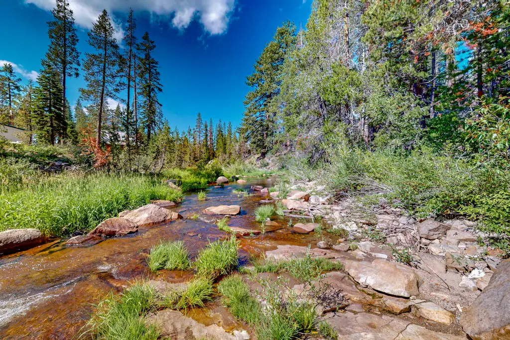 Riverfront dog-friendly retreat with a rustic flair & wood stove, near skiing