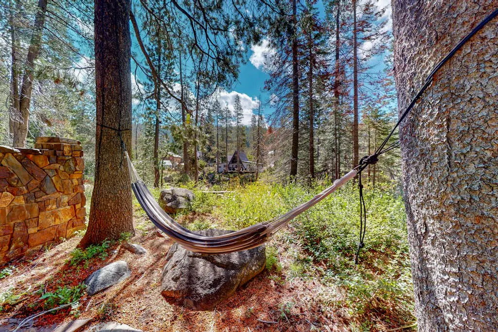 Riverfront dog-friendly retreat with a rustic flair & wood stove, near skiing