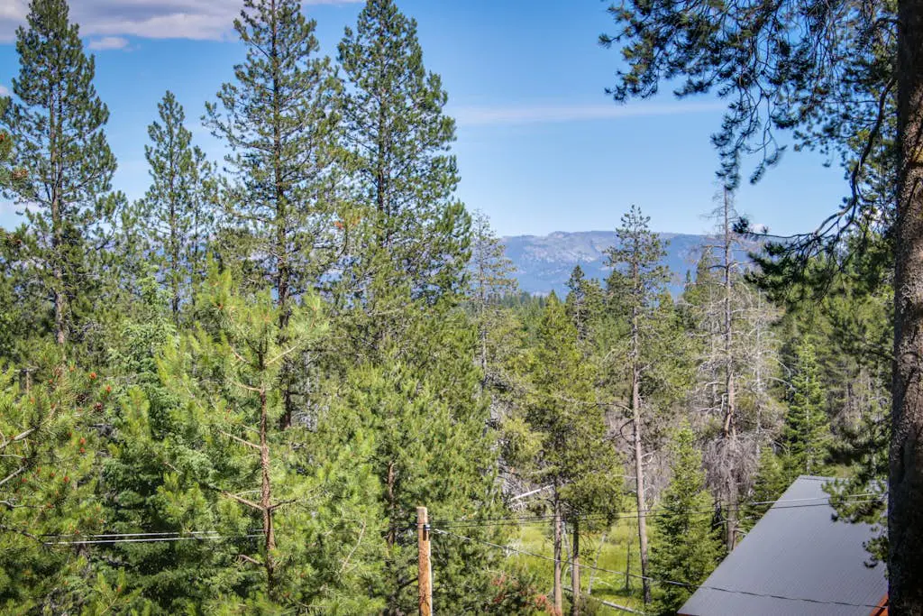 Spacious home near resorts with private hot tub, shared pool, & new furnishings