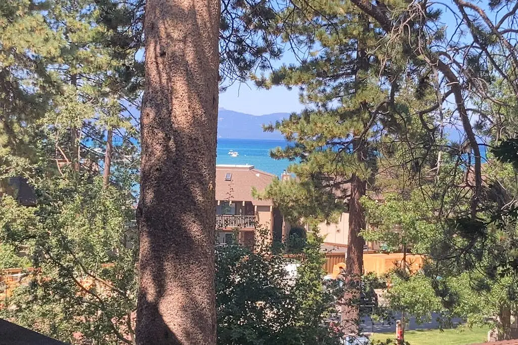 Lakeland Village #315