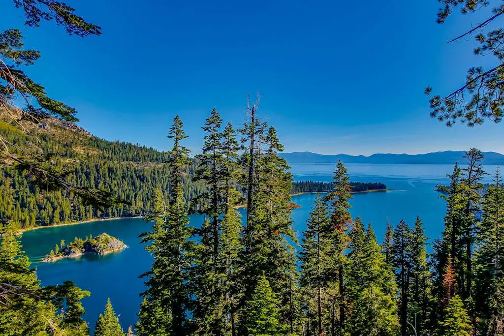 Lakeland Village #315