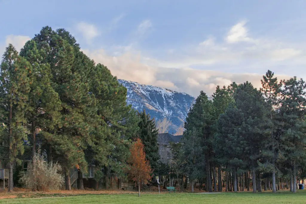 Oaks at Wasatch #7