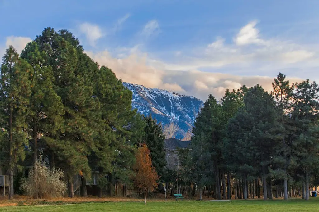 Oaks at Wasatch #5